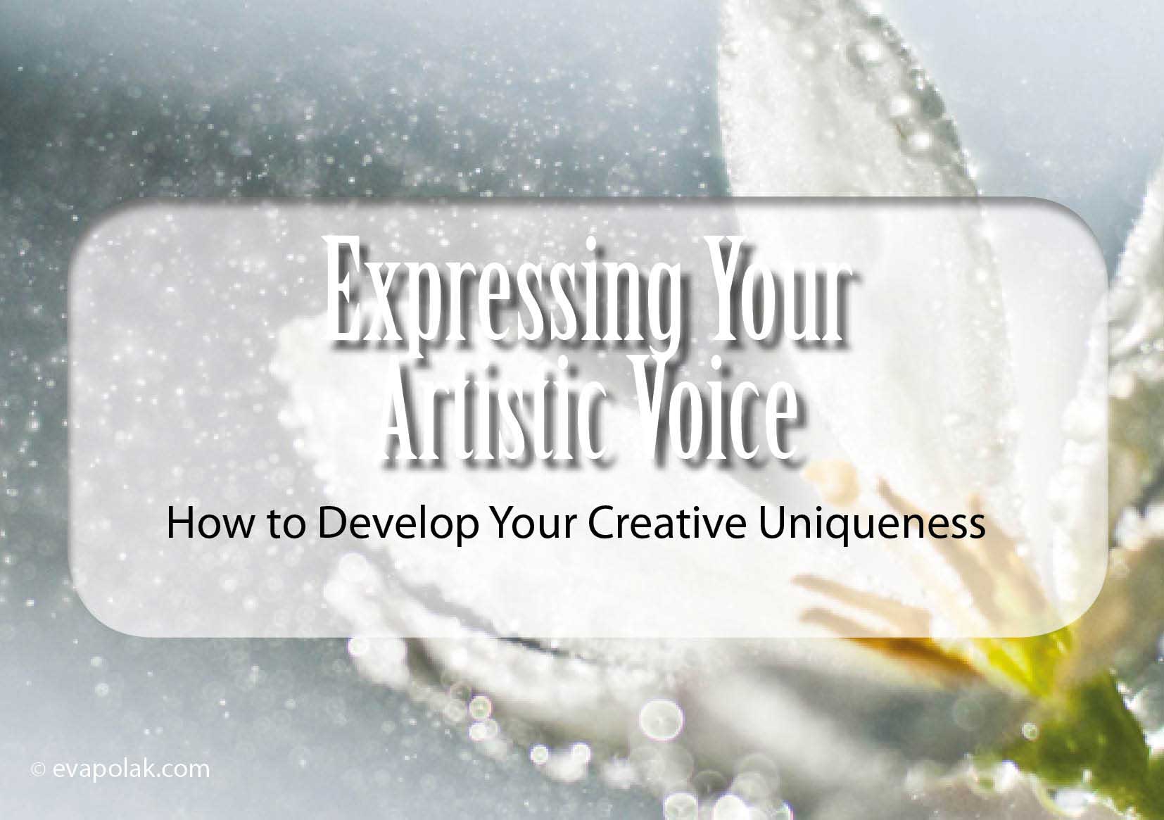 dandelions droplets water macro